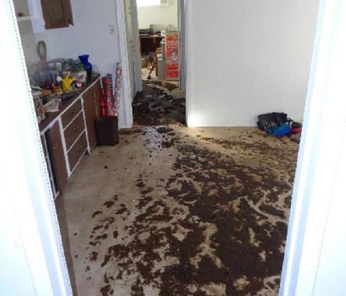 Debris and sewage in a house