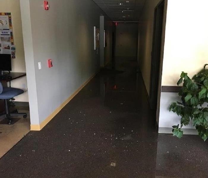 water reflecting in the hallway of the carpet in this office