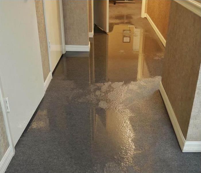 water flooded carpet in the hallway of the office