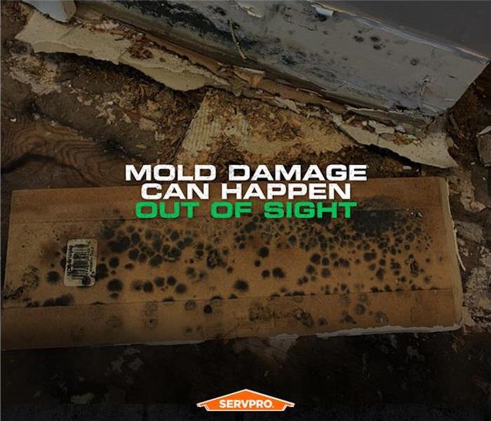 mold damage can happen out of sight poster