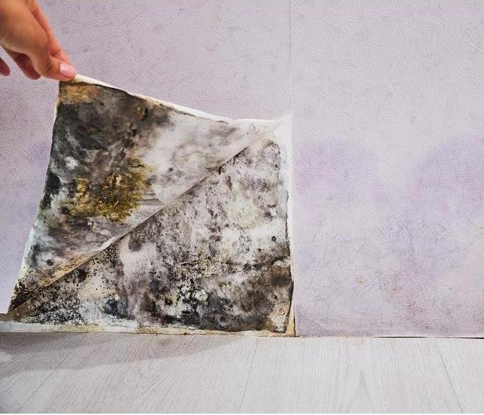 Hand pulling back wallpaper revealing mold