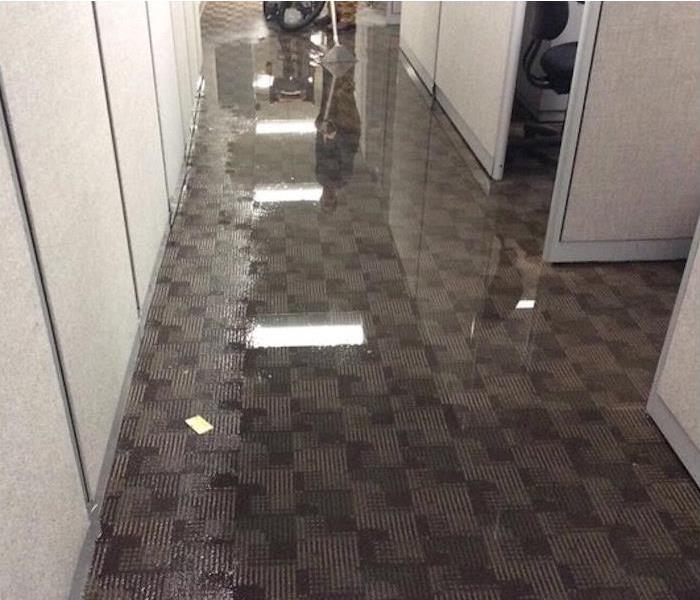 flooded carpet, cubicles in office area